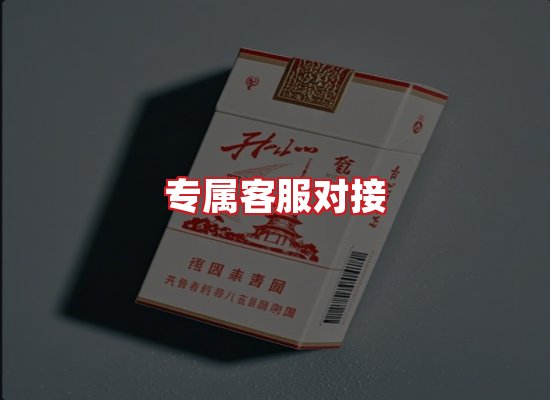 专业团队